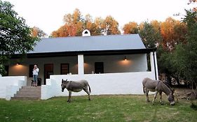The Little Farmhouse